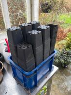 Bloempotjes P9 gratis afhalen, Tuin en Terras, Ophalen, Kunststof, Rond, Zo goed als nieuw