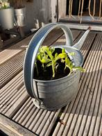 Zinken gieter, Ophalen, Gebruikt, Minder dan 30 cm, Rond