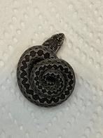 Vipera renardi cb25, Dieren en Toebehoren, Slang, 0 tot 2 jaar