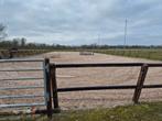 Privé stalling en paarden/ponys beleren, Stalling, 1 paard of pony