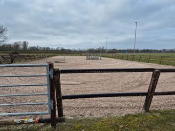 Plek vrij !Privé stalling en paarden/ponys beleren  beschikbaar voor biedingen