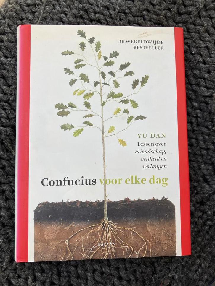 Confucius voor elke dag - Yu Dan, Boeken, Filosofie, Zo goed als nieuw, Wijsbegeerte of Ethiek, Ophalen of Verzenden