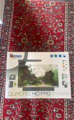 QUADRO 4O PRO Aquarium (nieuw!), Ophalen of Verzenden, Nieuw, Leeg aquarium