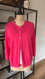 Gerry Weber cyclaam roze vest nieuw 42 zomer tint, Ophalen of Verzenden, Zo goed als nieuw, Maat 42/44 (L), Roze