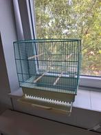 Prachtige vogel kooi,, Dieren en Toebehoren, Vogels | Hokken en Kooien, Ophalen, Zo goed als nieuw, Metaal, Vogelkooi