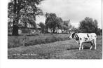 Aalten, Verzamelen, Ansichtkaarten | Nederland, Ophalen of Verzenden, 1960 tot 1980, Gelopen, Gelderland