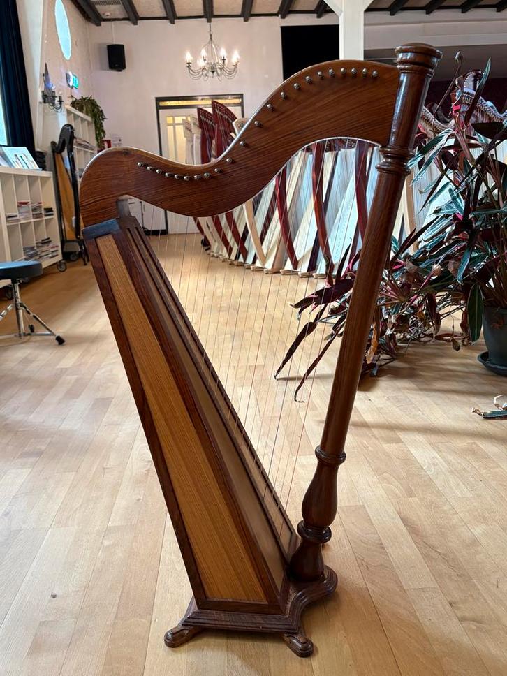 Keltisch harpje - 22 snaren, Muziek en Instrumenten, Snaarinstrumenten | Harpen, Gebruikt, Ophalen of Verzenden