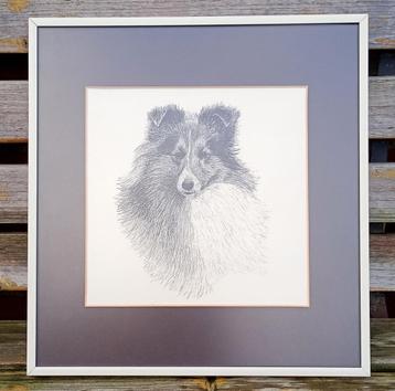 sheltie afbeelding in lijst beschikbaar voor biedingen
