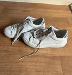 Tommy Hilfiger Sneakers Dames Maat 37, Wit, Ophalen of Verzenden, Tommy Hilfiger, Sneakers of Gympen