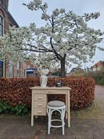 Vintage bureau met ladeblok, desk, schrijftafel, lessenaar, Ophalen, Gebruikt