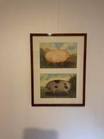 ‘Schilderij’ met Varkens, Ophalen