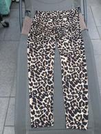 Norah legging 42, Kleding | Dames, Ophalen of Verzenden, Nieuw, Maat 42/44 (L), Bruin