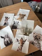 Safari Babykamer Canvas Posters (21x30cm), Ophalen of Verzenden, Zo goed als nieuw, Foto of Poster, Minder dan 50 cm