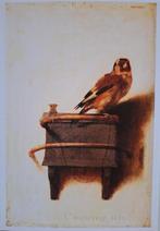 Vogels! 25 kunst-postkaarten. Nieuw!, Ophalen of Verzenden, Nieuw, Vogels