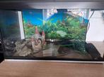 Juwel Aquarium 60x30x30, Dieren en Toebehoren, Ophalen, Leeg aquarium