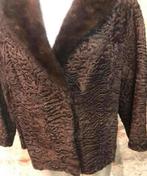 Mooie korte bruine bontjas jas maat 38-40, Maat 38/40 (M), Bruin, Etten-Leur, DJT@dejuistetoon.eu