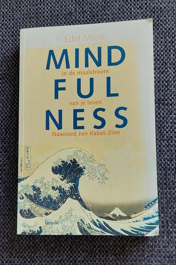 Mindfulness- Edel Maex
in de maalstroom van je leven.Kadotip beschikbaar voor biedingen