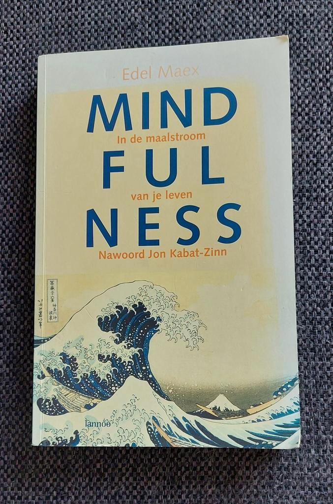 Mindfulness- Edel Maex
in de maalstroom van je leven.Kadotip, Boeken, Esoterie en Spiritualiteit, Gelezen, Overige onderwerpen