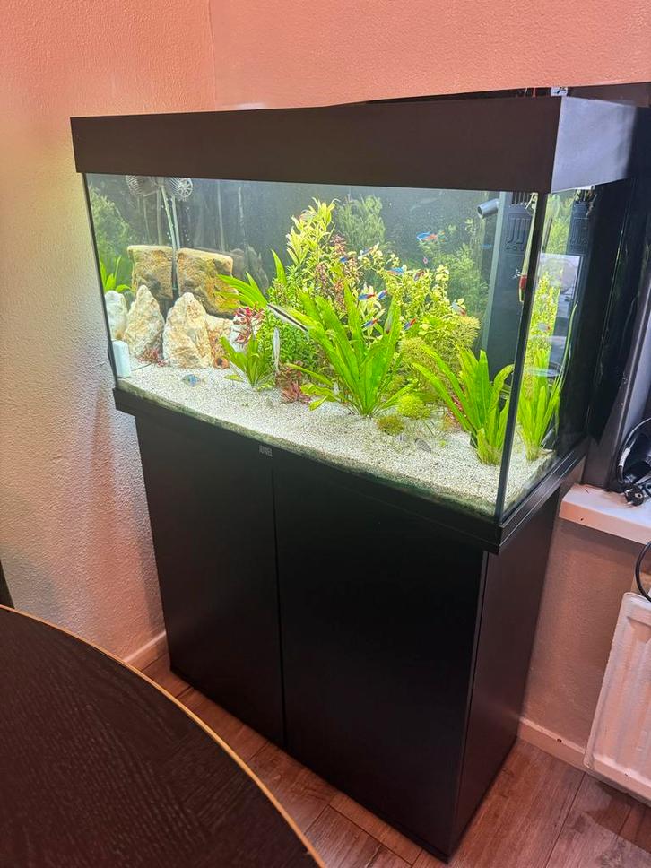 juwel rio 125 met meubel, Dieren en Toebehoren, Vissen | Aquaria en Toebehoren, Zo goed als nieuw, Ophalen of Verzenden
