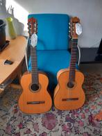 2x Helmut Hanika gitaren, Muziek en Instrumenten, Snaarinstrumenten | Gitaren | Elektrisch, Ophalen of Verzenden, Solid body, Overige merken