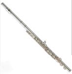 Dwarsfluiten gezocht voor les in Zuid-Afrika, Muziek en Instrumenten, Ophalen of Verzenden, Gebruikt, Dwarsfluit, Met koffer of tas