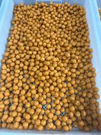 Betaalbare goede kwaliteit boilies, Watersport en Boten, Ophalen of Verzenden, Nieuw, Overige typen