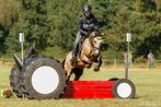 Prachtige allround pony te koop, Dieren en Toebehoren, Pony's, B, C pony (1.27m tot 1.37m), 11 jaar of ouder, Merrie