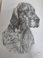 Mike Sibley Pentekening - Hond engelse setter ierse setter, Antiek en Kunst, Ophalen of Verzenden