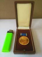 de Johann Heinrich Pestalozzi-medaille, Ophalen of Verzenden, Zo goed als nieuw