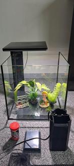 Superfish Qubiq 30 pro led + accessoires voer, Ophalen of Verzenden, Zo goed als nieuw, Leeg aquarium
