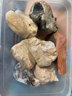 Stenen en schelpenverzameling bieden kan ook per steen, Verzamelen, Mineralen en Fossielen, Ophalen of Verzenden, Overige typen
