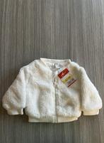 Newborn vestje maat 56 (nieuw), Nieuw, Ophalen of Verzenden, Wibra, Truitje of Vestje