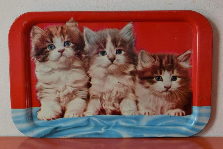 Retro vintage stalen dienblad met decor van 3 poesjes, Huis en Inrichting, Woonaccessoires | Dienbladen, Gebruikt, Metaal, Rechthoekig