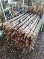 Piket palen korte palen bekistingspalen  5/6 x 100cm gepunt, Tuin en Terras, Palen, Balken en Planken, Ophalen, Zo goed als nieuw
