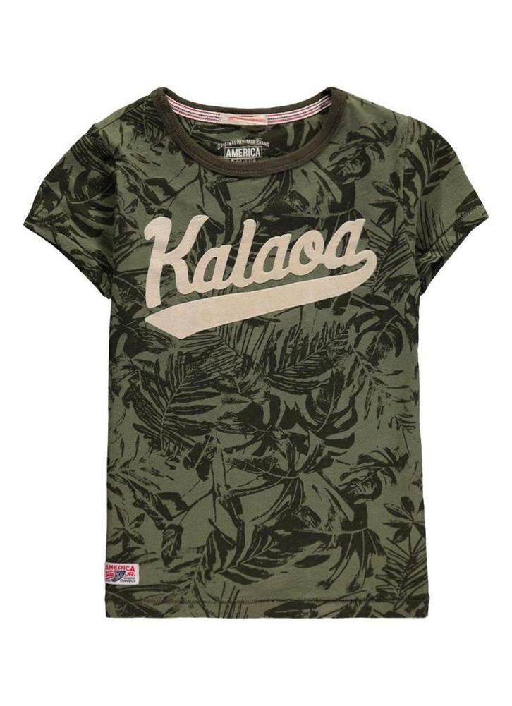 America Today Elias kakigroen jongens t-shirt flockprint 146, Kinderen en Baby's, Kinderkleding | Maat 146, Nieuw, Jongen, Shirt of Longsleeve