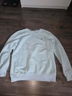 Polo Ralph Lauren Lichtblauwe Trui Maat L, Maat 52/54 (L), Blauw, Ophalen of Verzenden, Polo Ralph Lauren