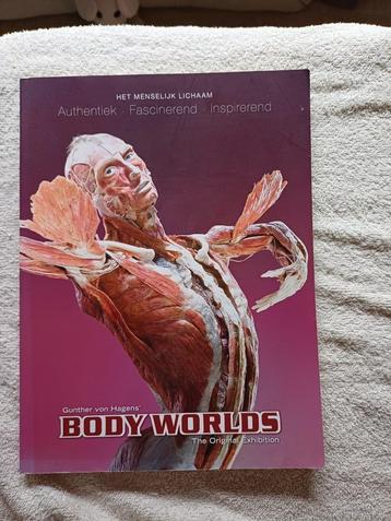 Het menselijk lichaam BodyWorlds beschikbaar voor biedingen
