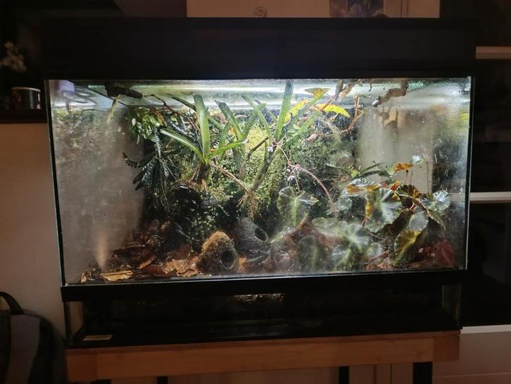 Paludarium Dendrocare, Dieren en Toebehoren, Reptielen en Amfibieën | Toebehoren, Gebruikt, Terrarium of Paludarium, Ophalen