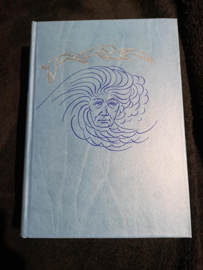 Kathinka Lannoy, Stemmen over de horizon, Boeken, Ophalen of Verzenden, Gelezen