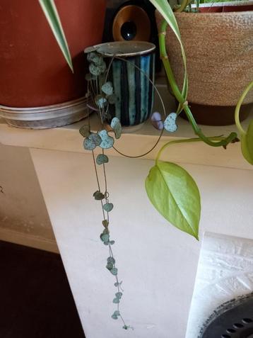 vintage mini bloempotje & Chinees lantaarntje incl verzenden beschikbaar voor biedingen