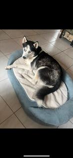 Orthopedische hondenmand, Dieren en Toebehoren, Verzenden, Gebruikt, Stof