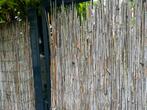 Bamboe schutting (Moet weg!), Tuin en Terras, Schuttingen, Gebruikt, Ophalen of Verzenden, Minder dan 3 meter, 1 tot 2 meter