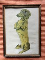 Teckel Jachthond Heinz Rammelt 26 cm hoog en 19 cm breed, Antiek en Kunst, Ophalen of Verzenden