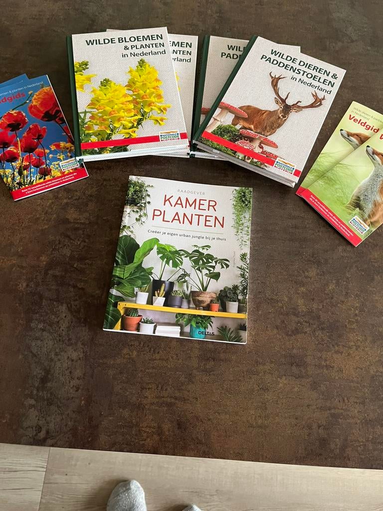 Kamerplanten raadgever door Angelika Throll zie onder :, Ophalen of Verzenden, Zo goed als nieuw