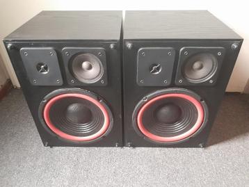 Quadral Quintas M120 luidsprekers ( lezen! ) 120 Watt  beschikbaar voor biedingen
