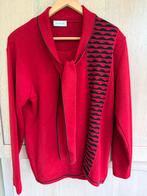 Germaine merino trui 42, Kleding | Dames, Ophalen of Verzenden, Zo goed als nieuw, Maat 42/44 (L)