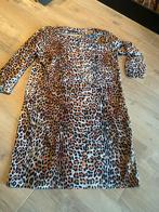 Studio Anneloes, Ophalen of Verzenden, Zo goed als nieuw, Maat 46/48 (XL) of groter, Boven de knie