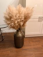 Pampasgras / pluimen, Ophalen, Gebruikt