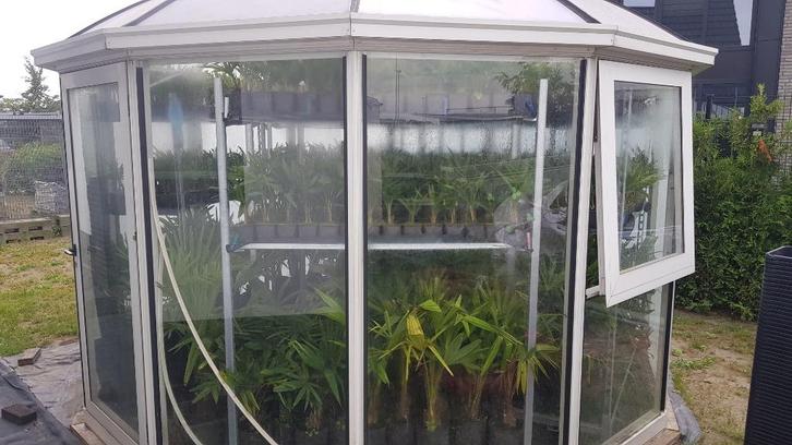 serre kas pagode carrousel, Tuin en Terras, Kassen, Zo goed als nieuw, Kweekkas, Aluminium, Glas, Ophalen
