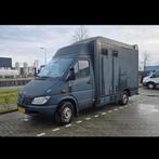 Paardenwagen 2-paards B rijbewijs APK tot mei 2026, Ophalen, Gebruikt, Overige typen